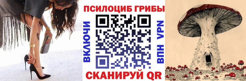 omg зеркало  Алагир  Галлюциногенные грибы MAGIC MUSHROOMS 
